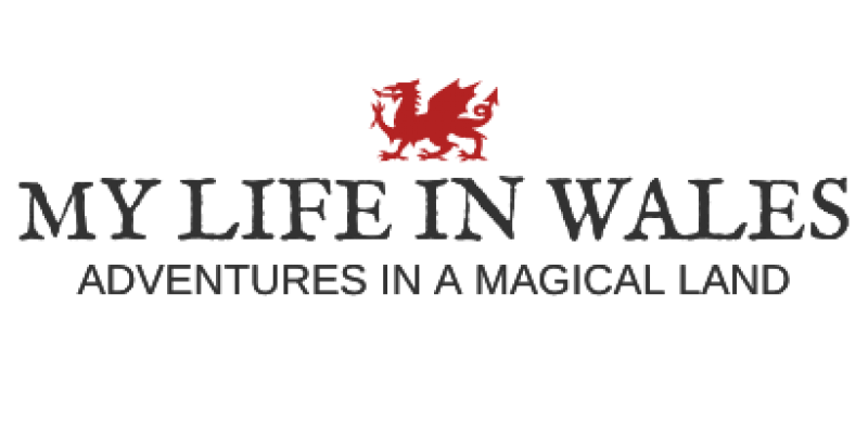 my life in wales logo